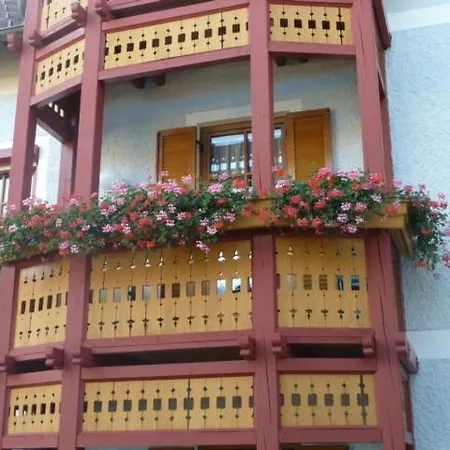 Kampitsch *
